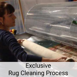 exclusive rug cleaning process